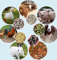 Meilleur prix, nouvelles machines de traitement des aliments pour animaux à usage domestique, haute productivité, capacité de 100 à 1500 kg/h, équipement agricole