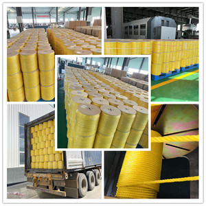 High Quality <strong>Packing</strong> Polypropylene Baler Plastic Raffia String <strong>Poly</strong> <strong>twine</strong> - Product Image 5