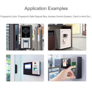 फ़िंगरप्रिंट सेंसर अधिग्रहण पहचान मॉड्यूल फ़िंगरप्रिंट किट फ़िंगरप्रिंट सुरक्षित दरवाज़ा लॉक स्कैनर रीडर कुंडी के लिए - Product Image 2