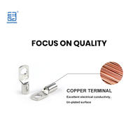 Gaopeng SC25-8 de SC16-8 Cosses de câble de batterie en cuivre SC électriques non isolées Bornes de connecteur de fil électrique