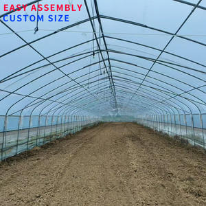 In Vendita: Set Serra a Tunnel a Doppio Strato con Ventilazione, Completo di Ventilatore e Attrezzatura per Pareti Umide - Product Image 6