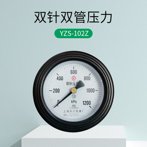 เกจวัดแรงดันน้ำแบบเข็มคู่ YZS-102Z ขนาด 100 มม. แบบอนาล็อก ผลิตที่เซี่ยงไฮ้ สำหรับวัดแรงดันน้ำ - Product Image 1