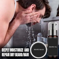 Vente chaude Naturel Barbe Peigne Soins Barbe Toilettage Kit Hydratant Bio Culture et Soins Huile Ensemble