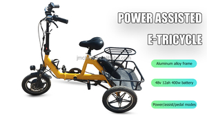 Batería ligera de litio 14 pulgadas 48v turismos eléctricos plegables triciclo certificado CEE carrocería abierta de tres ruedas - Product Image 2