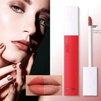 Rouge à lèvres liquide mat de luxe populaire en gros, logo personnalisé, formule minérale imperméable 24 heures, approvisionnement ODM, poids net, MSDS