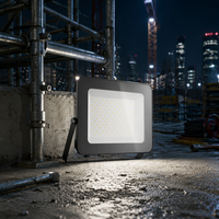 Projecteur LED extérieur OUTLUX E024 100W en aluminium pour stade et jardin, prix usine abordable