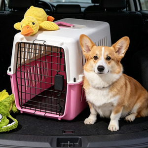 Transportadora de Mascotas con Asa Superior, Duradera, Aprobada por Aerolíneas, con Circulación de Aire, Cómoda para Viajar - Product Image 1