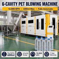 Máquina Compacta de Moldeo por Soplado y Estirado de Botellas PET de 6 Cavidades, Totalmente Automática, PLC, 12000 BPH, Alta Productividad