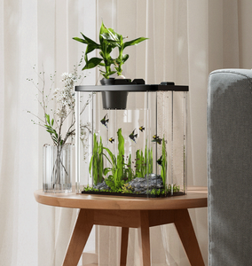 <span class=keywords><strong>3</strong></span>ガロン超透明ガラス水槽、リムレス低水族館 - Product Image 6