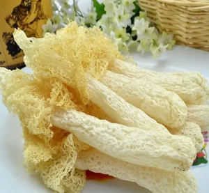 <span class=keywords><strong>Phallus</strong></span> Industiatusエキス<span class=keywords><strong>Phallus</strong></span> Industiatus Extrakt工場供給 - Product Image 2