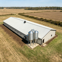 Gallinero Prefabricado Moderno de Estructura de Acero Anticorrosión para Cría en Capas, Base Duradera para Cría de Aves de Corral, Personalizable