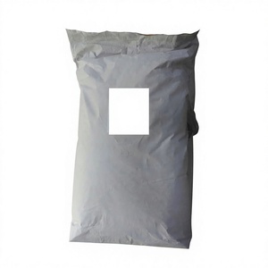 Poudre de lait de coco séchée par pulvérisation de qualité supérieure, de qualité alimentaire, 45-50% de matières grasses, fabriquée en Thaïlande, emballage de 25 kg - Product Image 2