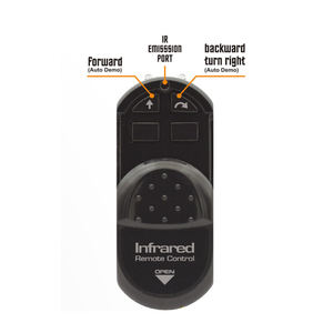 Jouet télécommandé réaliste en forme de Mantis religieuse pour enfants, modèle électronique en plastique, voiture animale amusante, jouet-pourrinçade, jouet insecte télécommandé infrarouge - Product Image 3