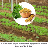 Vente en gros d'extrait de graines de fenugrec naturel biologique 50%, suppléments à base de plantes, poudre de fenugrec