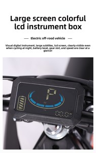 จักรยานยนต์วิบากแบบไร้แปรงถ่าน 1000W รุ่นใหม่จาก EU สำหรับผู้จัดจำหน่ายในพื้นที่ - Product Image 4