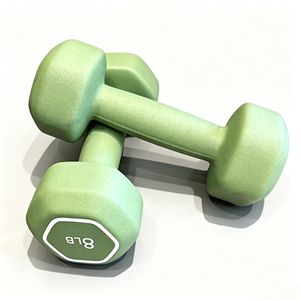 Factory Supply New Premium 2.5lbs-25lbs Hexagonal Fitness Neoprene Dumbbell Set With Patent