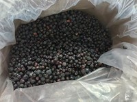 Arándanos Liofilizados a Granel de Primera Calidad, Fruta Entera/Cortada en Cubos/Polvo, 100% Natural, Sin Azúcar Añadido, Exportación B2B