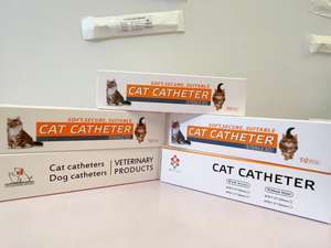 สายสวนปัสสาวะแมวปลายเปิด/ด้านข้างสำหรับแมวสายสวน3FR 4FR โรงพยาบาลสัตว์ใช้ <span class=keywords><strong>Sonda</strong></span> urinaria CON estilete Gato - Product Image 4