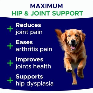 OEM/ODM Mevcut En İyi Evcil Hayvan Eklem Sağlığı Takviyesi Vitaminleri Çiğneme Tabletleri Eklem Sağlığını Geliştirir Köpek Eklemi Yumuşak Çiğneme Tabletleri Takviyeleri - Product Image 2