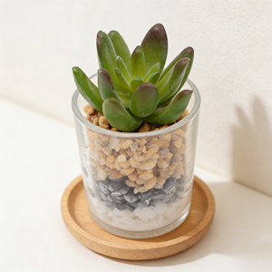 <span class=keywords><strong>Echeveria</strong></span> Artificial en Maceta de Vidrio Pequeña, Planta Suculenta Artificial, Loto de Jade, para Decoración de Hogar, Oficina y Escritorio - Product Image 5