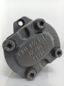 Pompe à engrenages de haute qualité d'origine, en promotion, 0510225020 AZPF-11-004RRR20KB-S0081, en stock - Product Image 3
