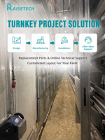 Système de cages automatiques pour poules pondeuses de type H, cages en batterie multi-niveaux, équipement d'élevage avicole en fil galvanisé pour la production d'œufs