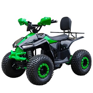 Batterie <span class=keywords><strong>48V</strong></span> 20Ah, moteur 800W, <span class=keywords><strong>quad</strong></span> <span class=keywords><strong>électrique</strong></span>, ATV <span class=keywords><strong>électrique</strong></span>, quadricycle <span class=keywords><strong>électrique</strong></span>, cuatrimoto, quadriciclo, elektro <span class=keywords><strong>quad</strong></span> - Product Image 1