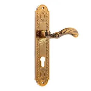 Bronze Antique, moyen siècle, Types Vintage avec <span class=keywords><strong>plaque</strong></span> de poussée de poignées de porte de Style georgien - Product Image 1