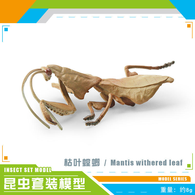 PL127-2840 Dry Leaf Mantis 8g