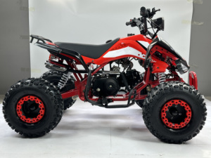 <span class=keywords><strong>Quad</strong></span> 125cc à refroidissement par air, 4 roues, à essence, pour travaux agricoles et loisirs, directement de l'usine, OEM/ODM - Product Image 6