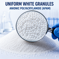 Poliacrilamida Aniónica PAM en Polvo Granular, Floculante para Tratamiento de Agua