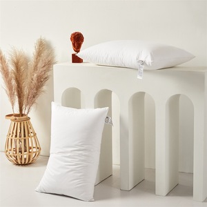 Funda de almohada de terciopelo para Hotel, <span class=keywords><strong>relleno</strong></span> de cojín de doble borde sellado al vacío de 48x74 cm, insertos de almohada, venta al por mayor - Product Image 2