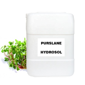 Prezzo preferenziale della fabbrica all'ingrosso estratto vegetale Purslane Hydrosol profumo per la cura del viso idrosol campione libero - Product Image 1