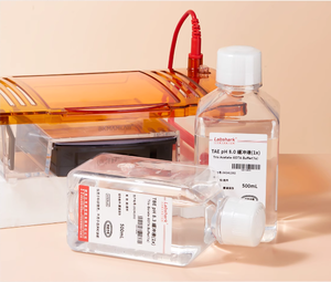 Labshark Tae <span class=keywords><strong>BUFFER</strong></span> สำหรับกรดนิวคลีอิก agarose gel electrophoresis-acetic Acid-EDTA acetate boric Acid Lab Supplies - Product Image 4