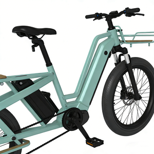 Vélo cargo électrique 750W 36V avec batterie au lithium, moteur central, pneus larges, sans balais, grande capacité - Product Image 5