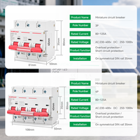 Disjoncteur miniature AC 2P 80A 1000A 125A 10KA, disjoncteurs électriques