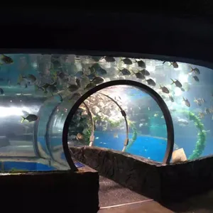 Tunnel d'aquarium sous-marin en acrylique, disponible en vente