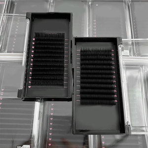 Meecillashes Volume <span class=keywords><strong>Extension</strong></span> Effect W Shape CC C PBT Fiber <span class=keywords><strong>Faux</strong></span> Mink Matte False Eyelashes Handmade - Product Image 1