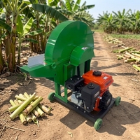 Mini-hacheuse à essence/diesel pour bananiers, équipement de découpe d'ensilage de tiges de plantains pour l'agriculture tropicale domestique