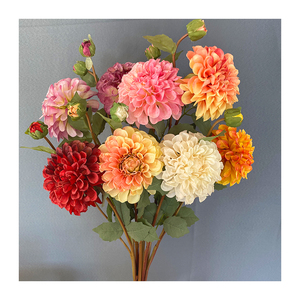 <span class=keywords><strong>Chrysanthème</strong></span> Tianzhu 2 têtes bon marché pour décoration de mariage <span class=keywords><strong>chrysanthème</strong></span> de haute qualité - Product Image 2