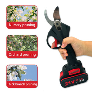 Podadora inalámbrica a batería con acabado cepillado, tijeras de jardín de 4 pulgadas y motosierra - Product Image 5