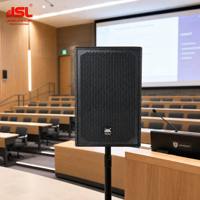 Haut-parleur passif professionnel DX-15 de 15 pouces 500W à large bande pour la vente en gros mondiale – Direct Usine