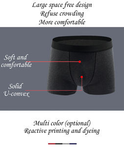 2024 हॉट सेलिंग कपास के बॉक्सर थोक गुणवत्ता वाले कस्टम लोगो अंडरवियर पुरुषों के लिए ओपन के साथ पुरुषों की शॉर्ट्स - Product Image 5