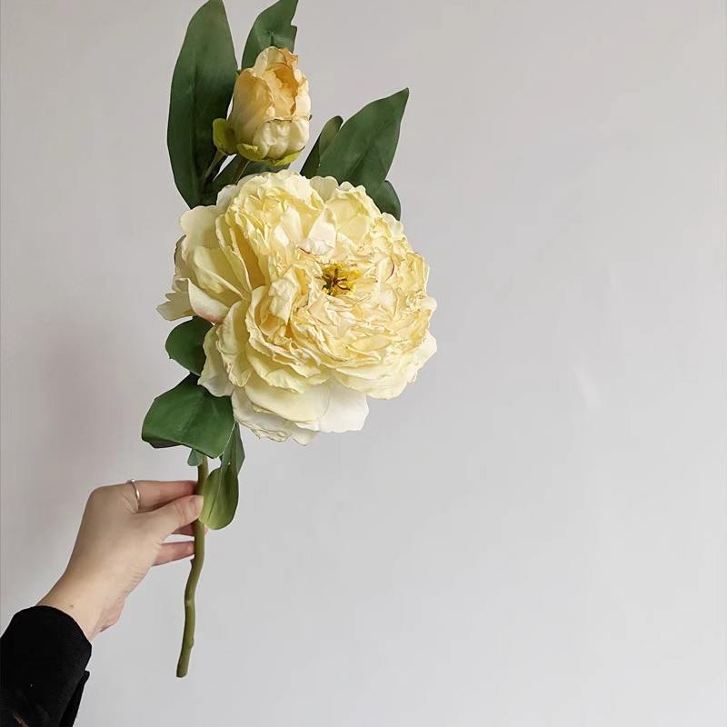 สีเหลือง