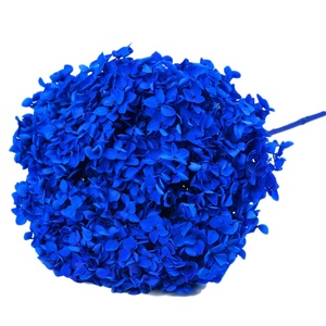 <span class=keywords><strong>Fleurs</strong></span> d'<span class=keywords><strong>hortensia</strong></span> naturelles séchées à tige longue, <span class=keywords><strong>stabilisées</strong></span> et préservées, pour Noël, Pâques, la Fête des Mères et les remises de diplômes – Approvisionnement direct usine - Product Image 4