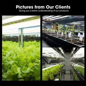 US 24W Tubes Fluorescents <span class=keywords><strong>T5</strong></span> Lampe Pack Multicolore Stock Grow Lights Différents Spectres <span class=keywords><strong>Plante</strong></span> Croissance IP65 Cote 90 Lm/W - Product Image 6