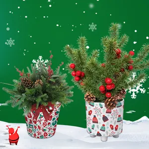 Yicaiクリスマス3DプリントパターンOEM/ODMミニプラスチック多肉植物植木鉢植物12月ギフト用