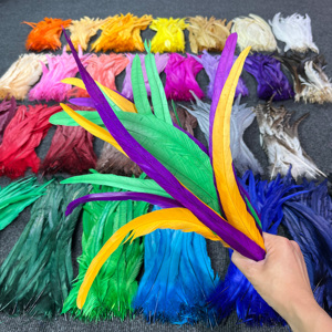 Plumas de Cola de Gallo al por Mayor Personalizadas, Teñidas en Varios Colores, de Alta Calidad para Disfraces y Decoración - Product Image 5