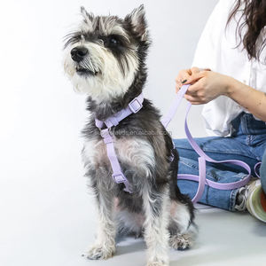 快適なPVCコーティングされたウォーキングハーネス男の子用女の子犬用メンテナンスデザイン悪天候に耐える重い使用プラスチック - Product Image 3