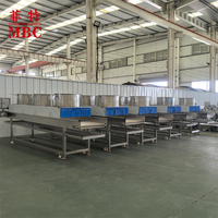 Hoge Kwaliteit 500 Kg/u Automatische Blad Groente Bubbel Wasmachine Fruit Wassen Drogen Verwerking Lijn Luchtstroom Fruit Ontwater Machine